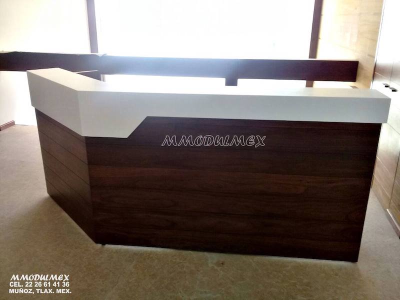 Fabricación de Muebles Especiales