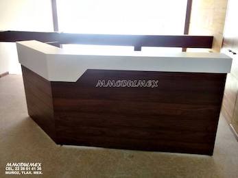 Fabricación de Muebles Especiales